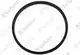 VAILLANT-Dichtung-VK-6-47-4-1-XE-u-w-Vaillant-Nr-0010046057 gallery number 1